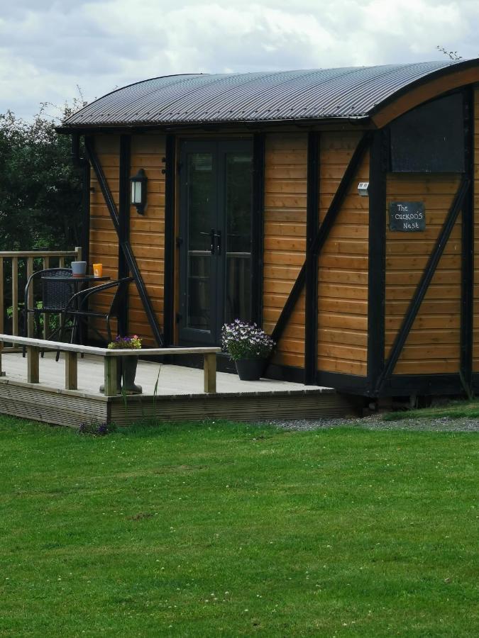 Вилла Pen-Rhos Luxury Glamping "Cuckoo'S Nest" Лландриндод-Уэлс Экстерьер фото