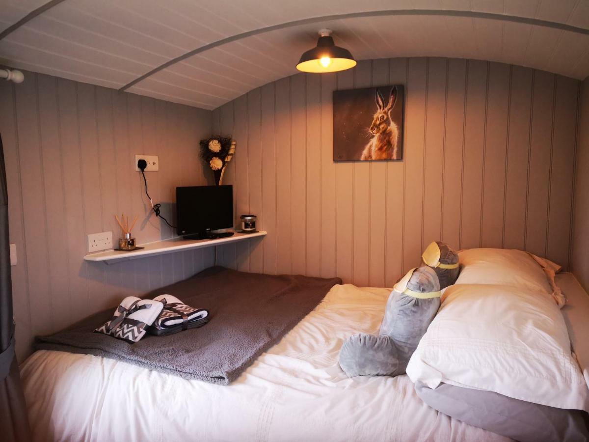 Вилла Pen-Rhos Luxury Glamping "Cuckoo'S Nest" Лландриндод-Уэлс Экстерьер фото